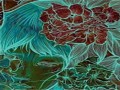 火腿电影剧情介绍（火腿电影剧情介绍详细）